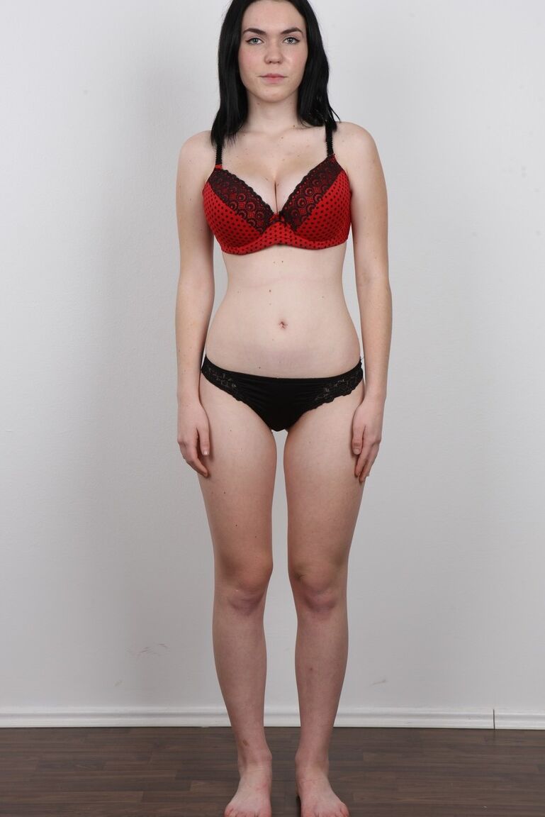 20P Amateur Petra has perky tits and huge nipples photographed for a casting call