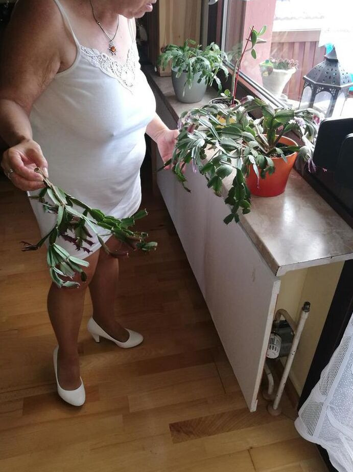20P Horny grandmother slides hands down pantyhose to masturbate