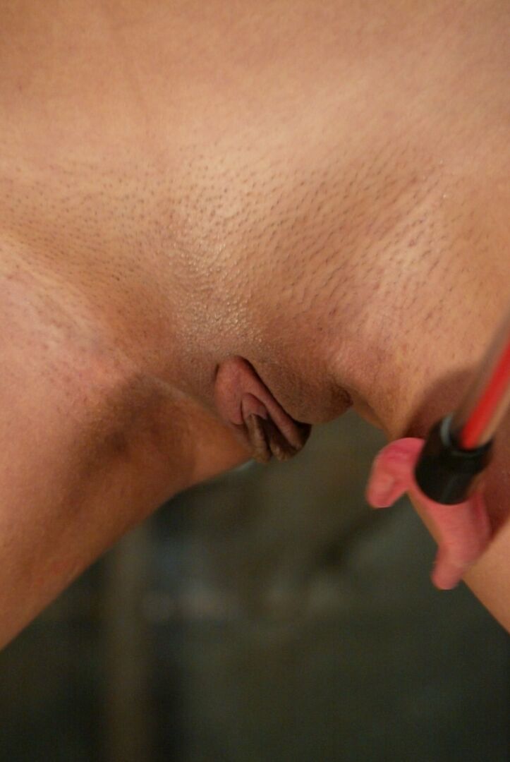 21P Wired Pussy Harmony, Penny Barber, Princesa Donna Dolore