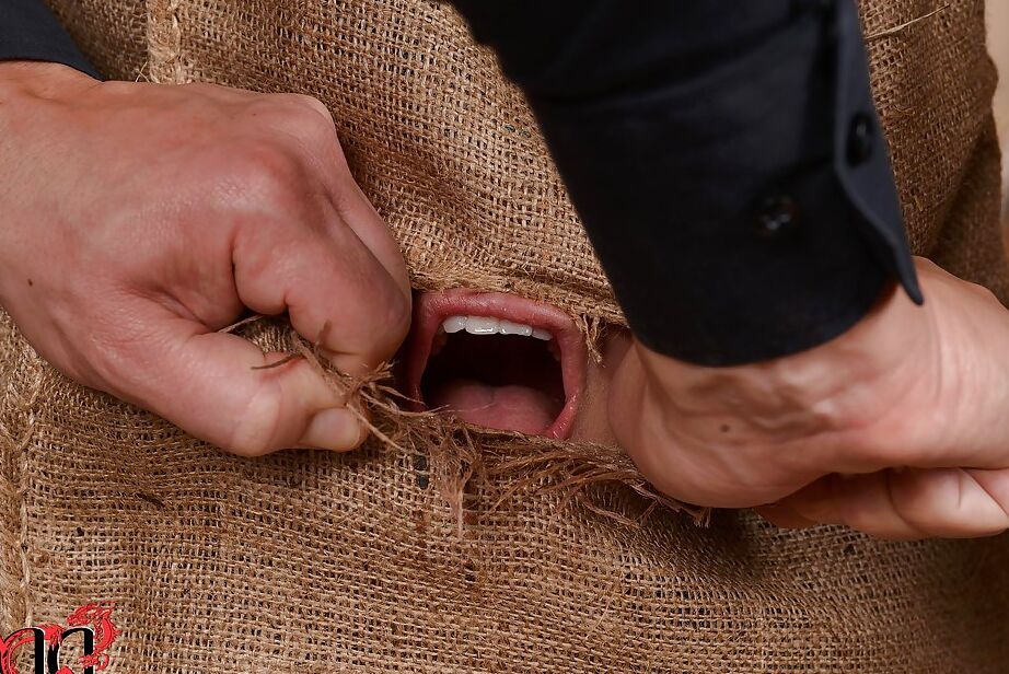 16P Asian BDSM lady Tigerr Benson is put inside a sack and deepthroated
