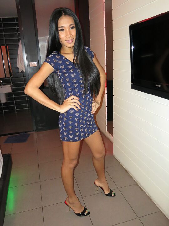 16P Ladyboys fodidos sem sela sem calcinha sem sela