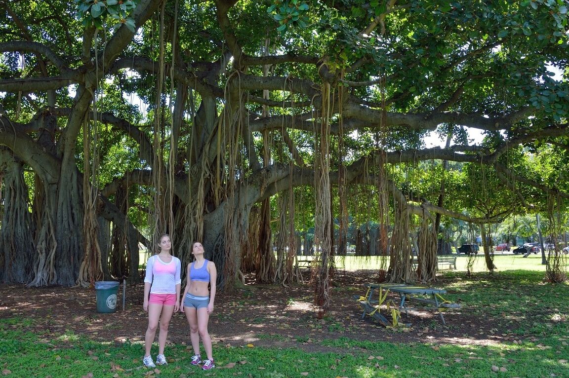 21P Las tetonas Nicole y Veronica exponen sus dulces culos al aire libre