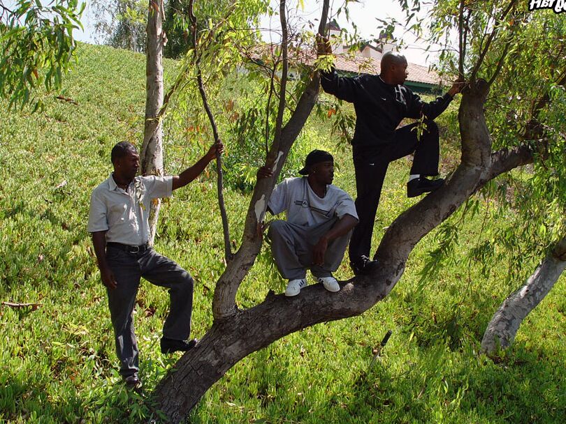 15P Jovem vagabunda loira leva gangbang por homens negros em quintal arborizado