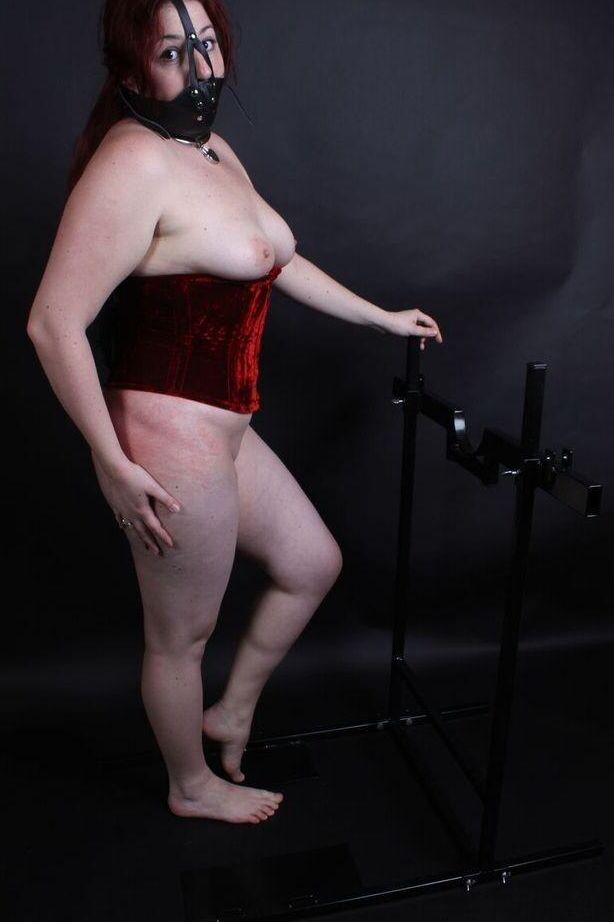 16P Black Fox Bound Bells and Gag