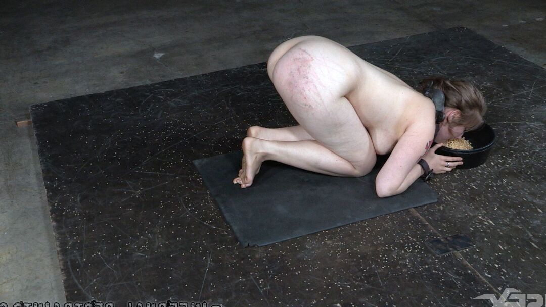 14P PAWG Electra Rayne eats from a dish while held captive in chains
