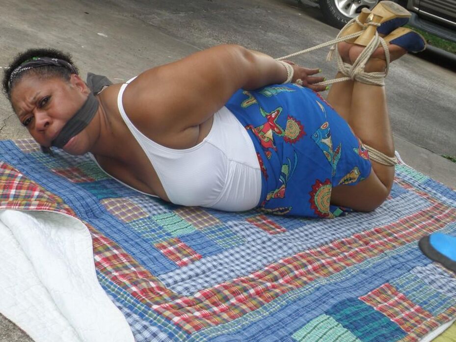 16P Renard Noir Fétiche Hogtied À L'Extérieur