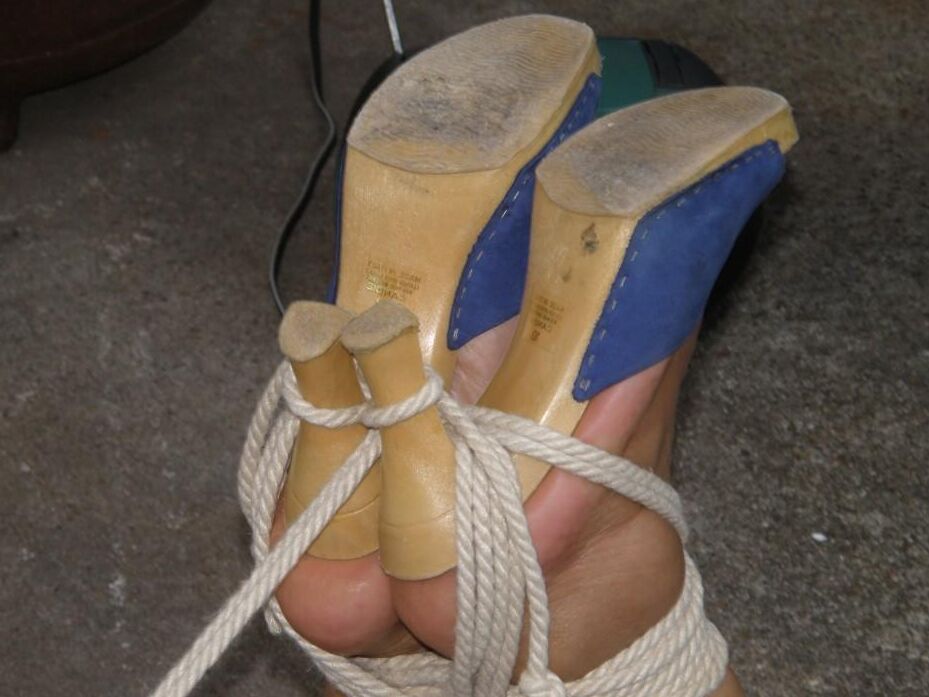 16P Renard Noir Fétiche Hogtied À L'Extérieur