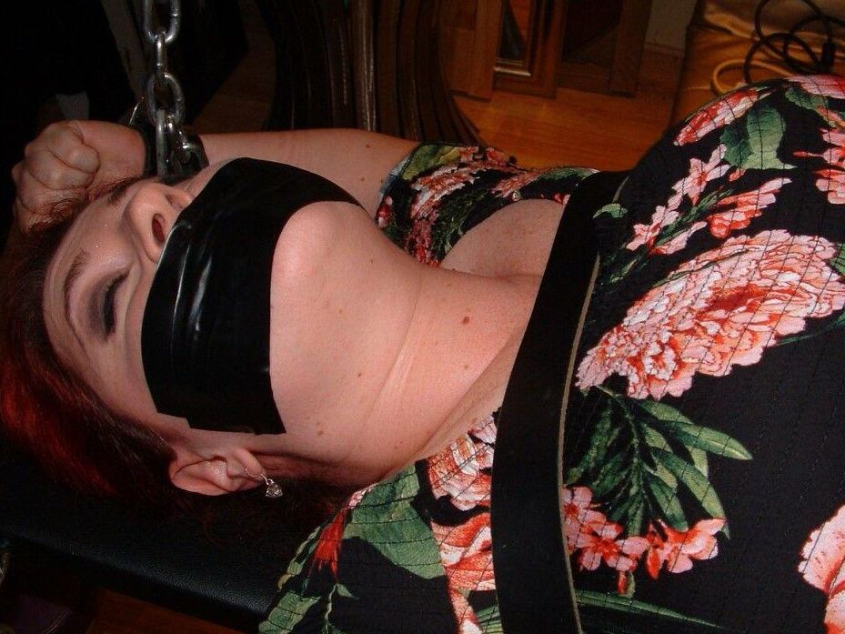 16P Black Fox Bound Needing Attention