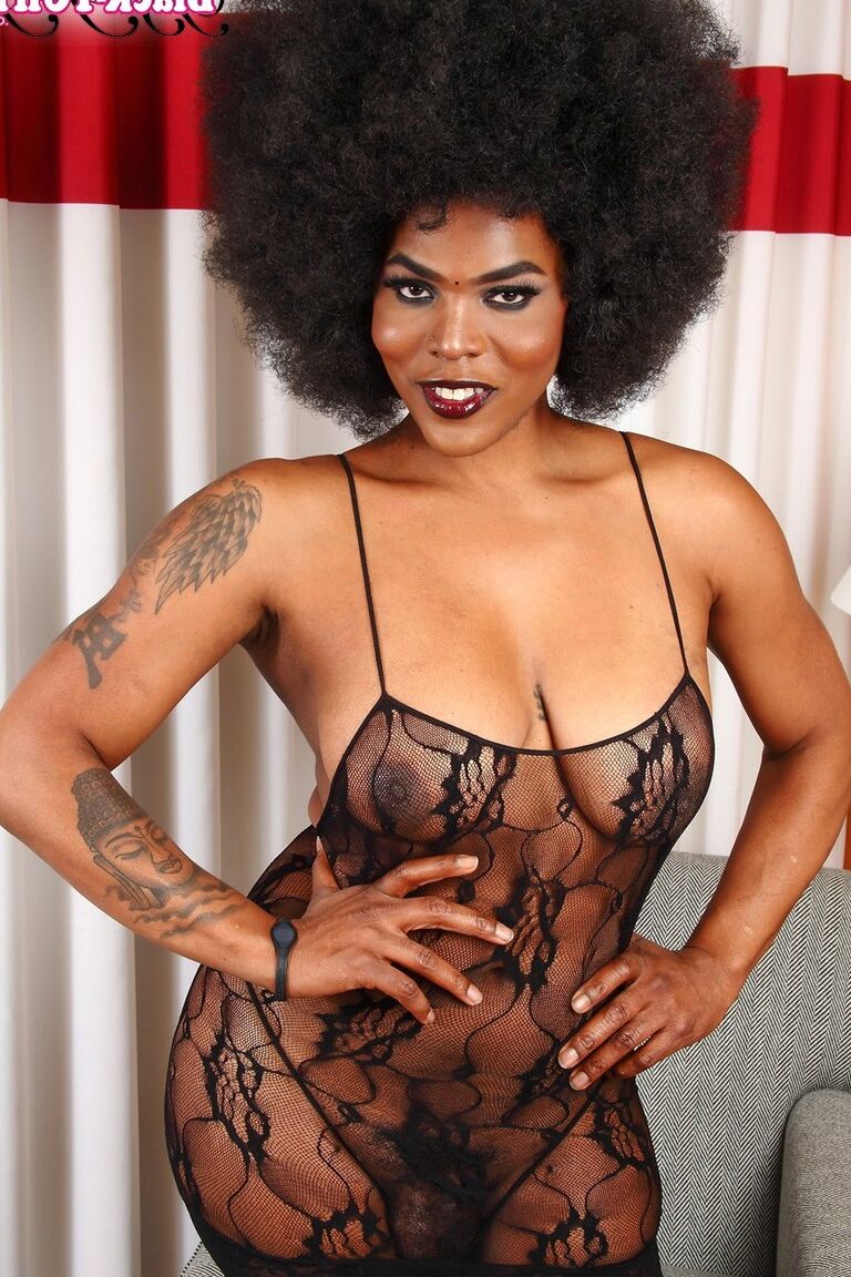 16P Negro TGirls Lovlee