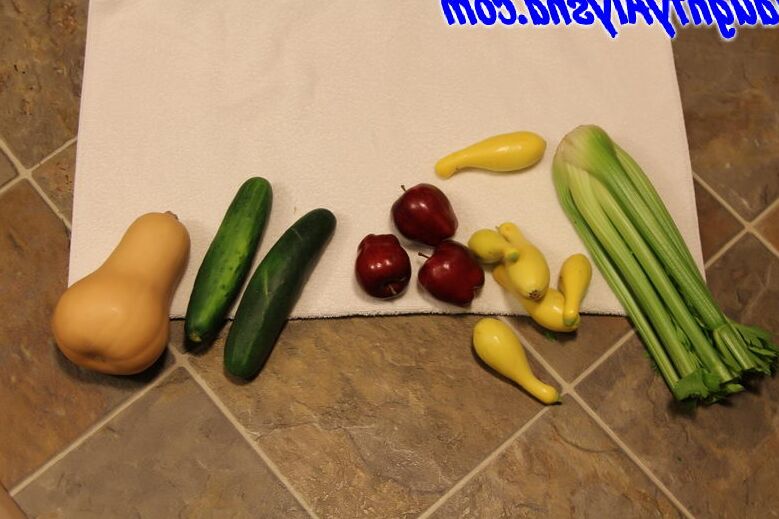 14P エッチなアリーシャ 野菜は体にいいよ