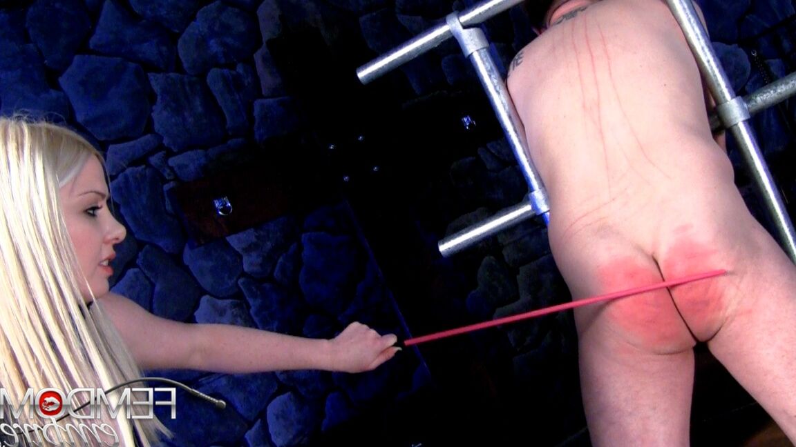 16P Femdom Império Cuzinho Welted