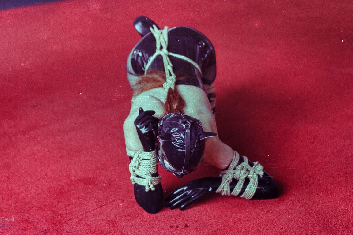 16P Club RopeMarks Gatito kinbaku de goma