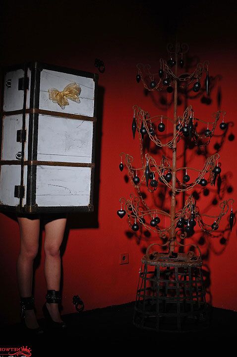 12P La belleza desnuda Alice Miller es liberada de la caja de bondage antes de tener sexo con su maestro