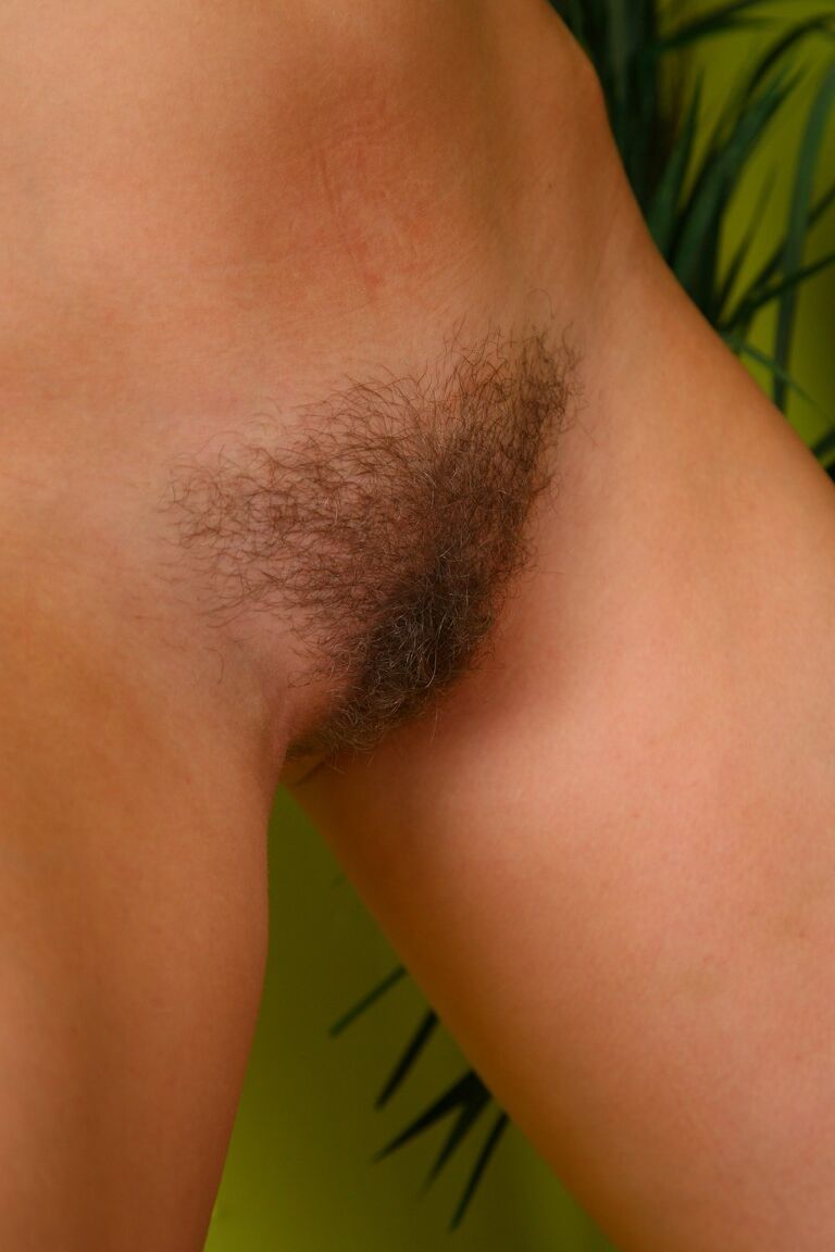21P La jeune brune Alice expose ses jolis seins et montre sa chatte poilue.