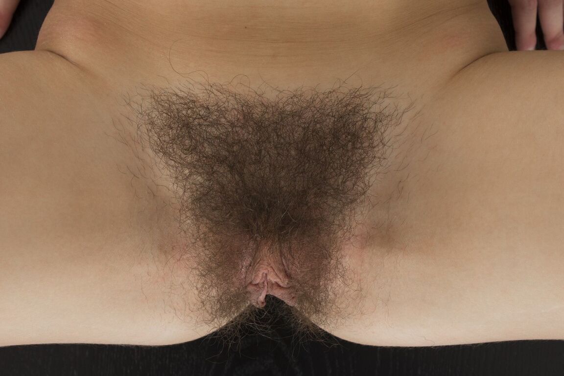 16P A amadora de cabelos escuros Anissa remove o body de malha para arejar seu regalo peludo