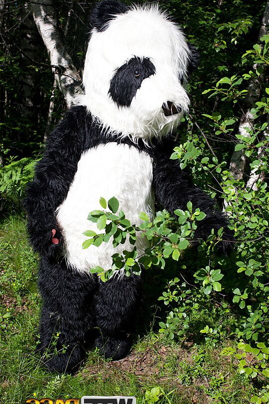 16P A adolescente Madelyn é transada por um panda em traje de Chapeuzinho Vermelho