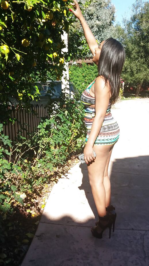 16P No matter where she goes Lisa Tiffian's ebony ass looks delicious