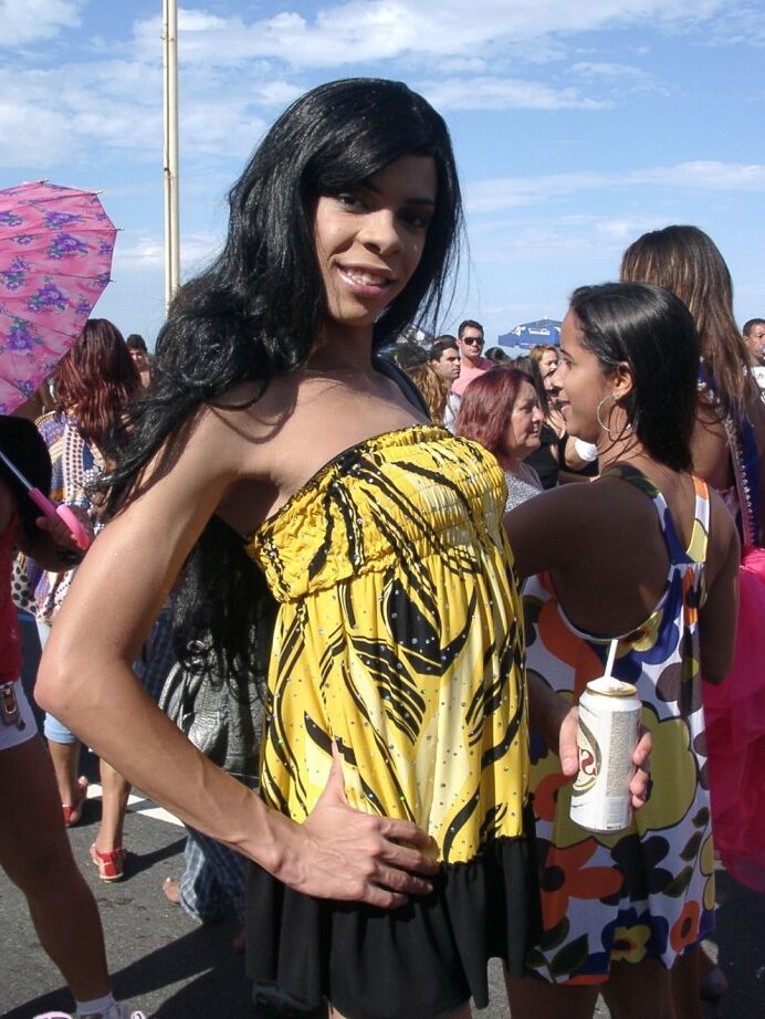 12P Transen aus Rio, der Gay Parade 2008 in Janeiro