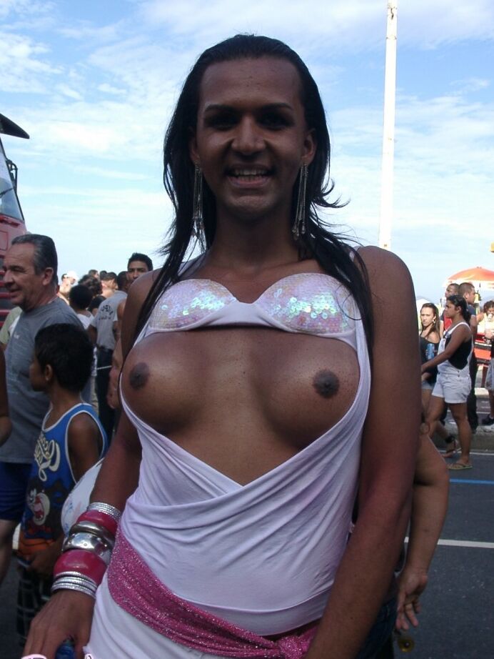 12P Transen aus Rio, der Gay Parade 2008 in Janeiro