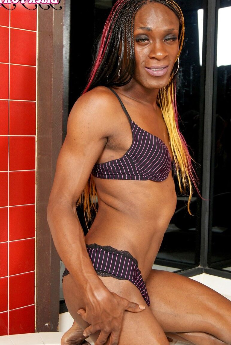 16P Preto TGirls Pôr do sol