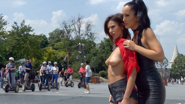 15P Трах с домашним животным выставили напоказ, а затем затащили в бистро. Меню игрушек для траха