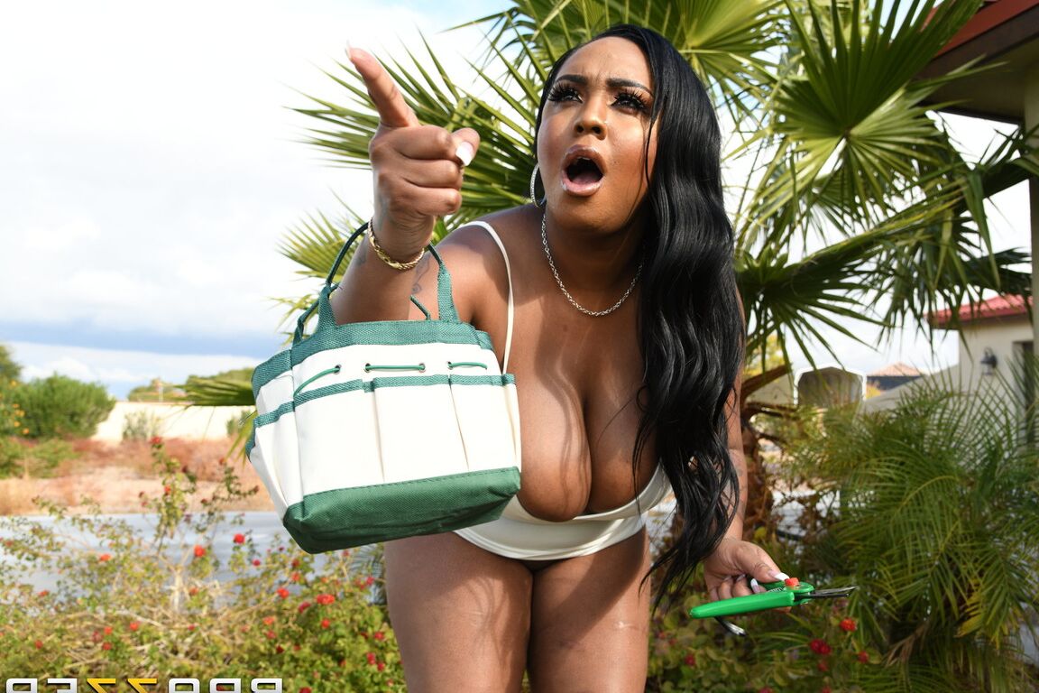 21P MILFs Like It Big Juan El Caballo Loco, Layton Benton