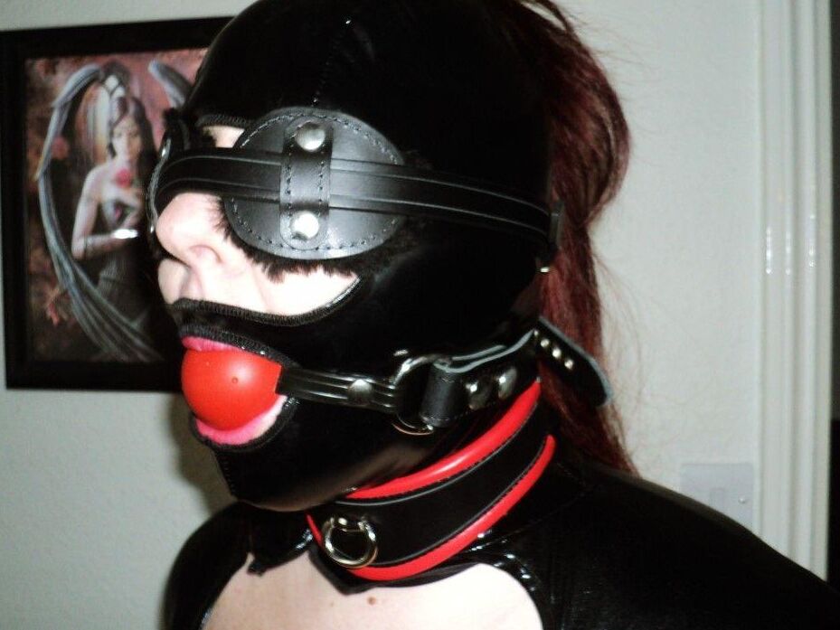 16P Black Fox Fetish Slave in Latex