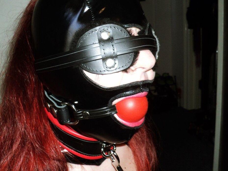 16P Black Fox Fetish Slave in Latex