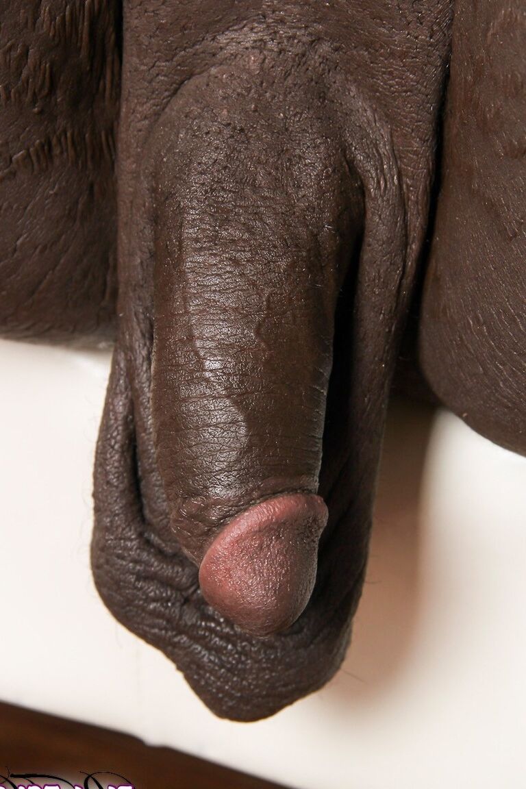 16P Negro TGirls Piper La Pipe