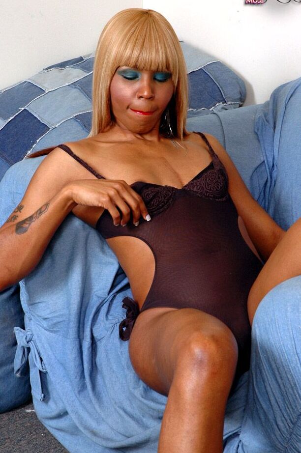 16P Preto TGirls Remmie