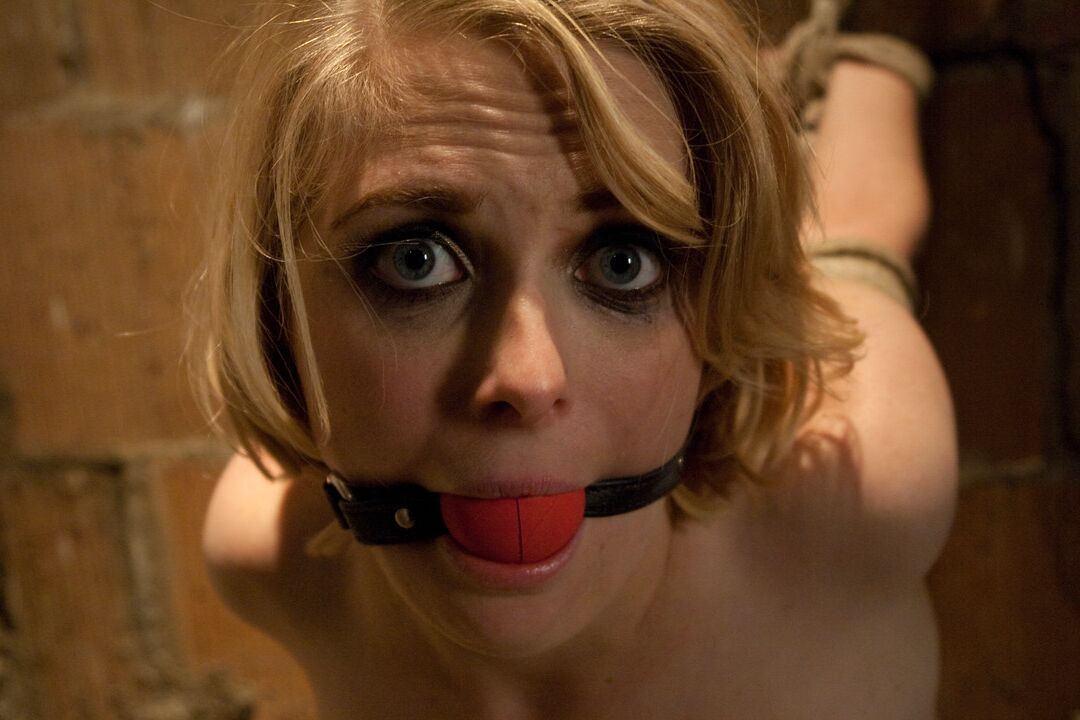 21P Sex And Submission Mark Davis, Penny Pax