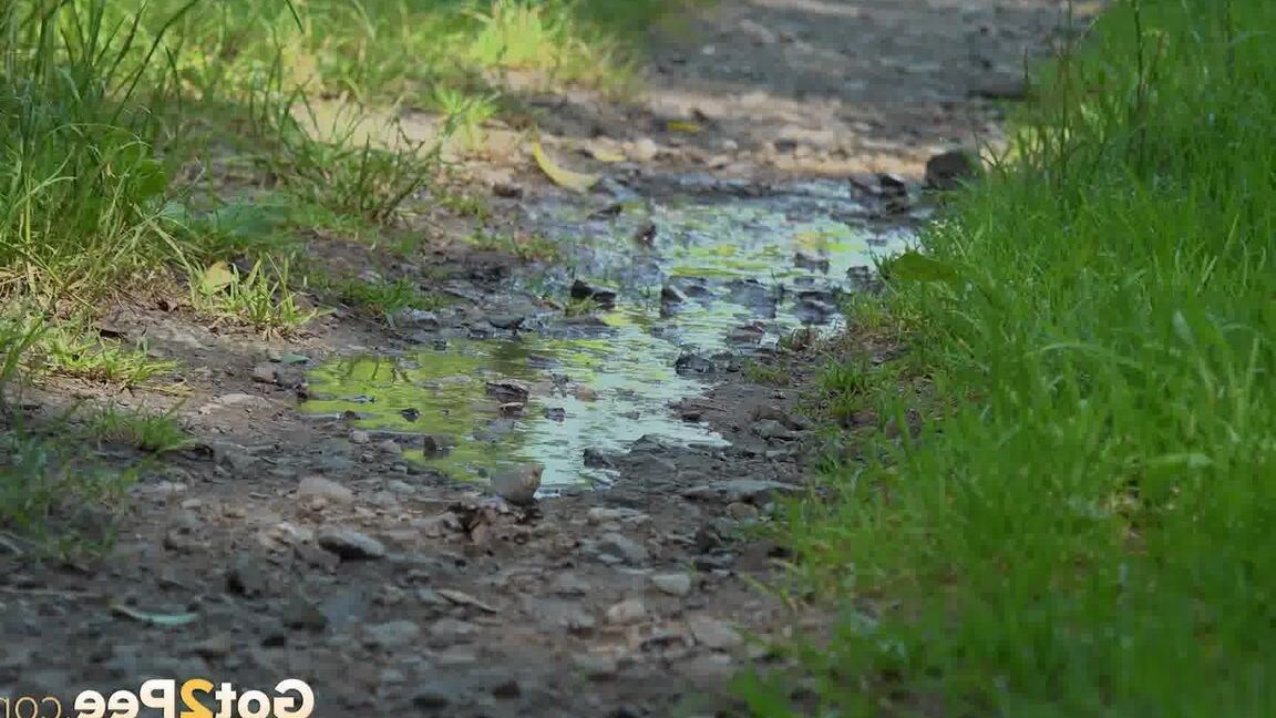 15P European female Nikki Dream takes a piss while walking on a dirt path