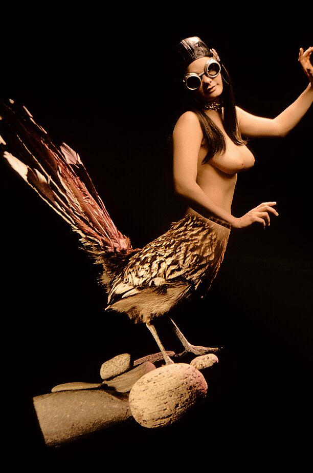 15P Artistas femeninas sexys revelan sus sexys pechos naturales mientras posan ante la cámara
