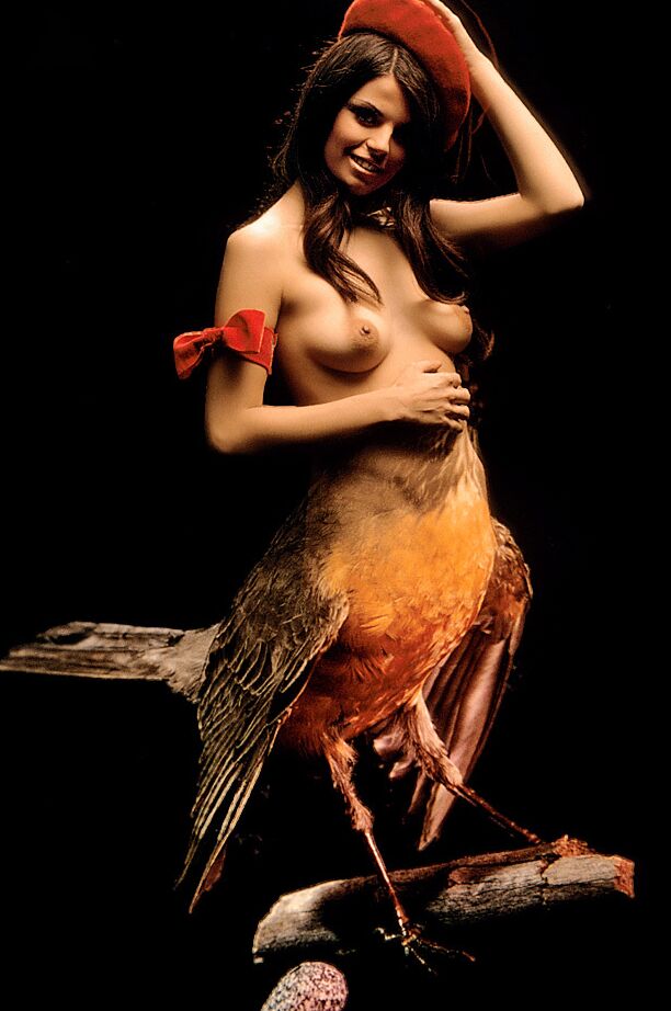 15P Artistas femeninas sexys revelan sus sexys pechos naturales mientras posan ante la cámara