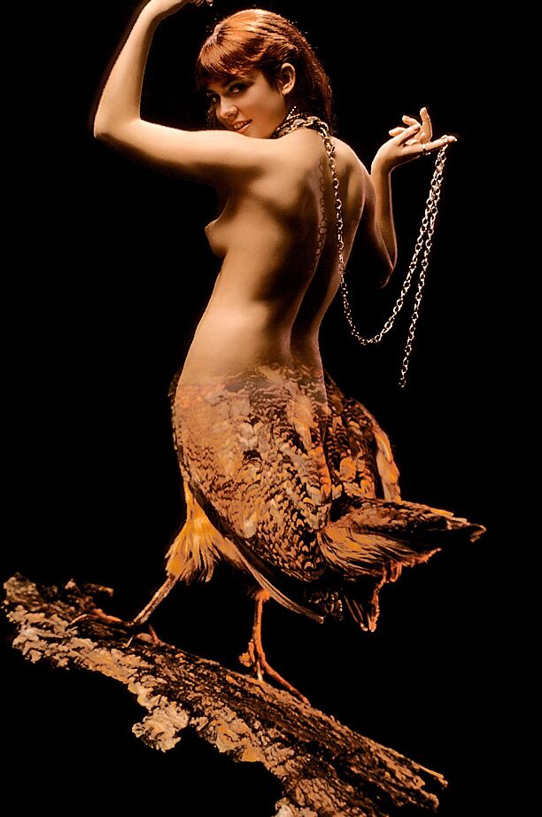 15P Artistas femeninas sexys revelan sus sexys pechos naturales mientras posan ante la cámara