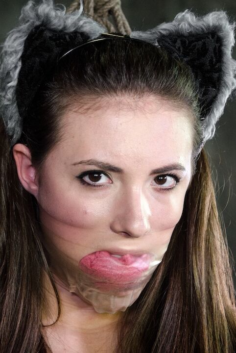 16P Solo girl Casey Calvert dons cat ears and butt plug tail in dungeon setting