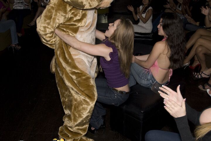 A festa 16P Coed vai à loucura com um urso dançando e garotas sexy fazendo boquetes