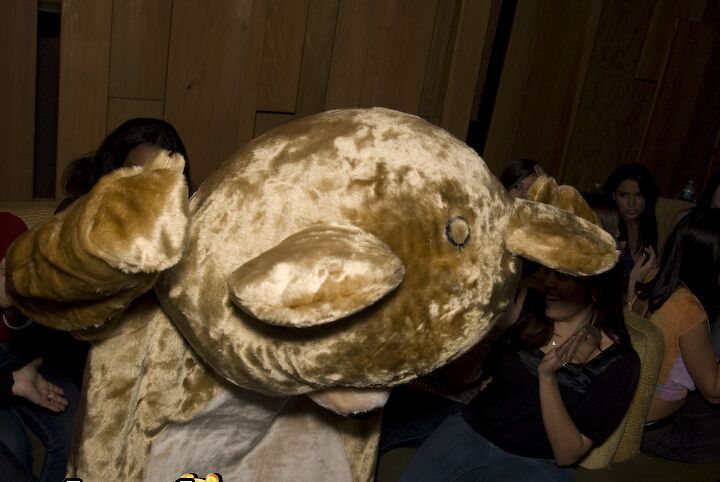 A festa 16P Coed vai à loucura com um urso dançando e garotas sexy fazendo boquetes