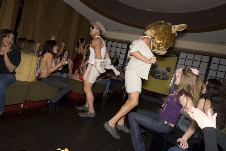 A festa 16P Coed vai à loucura com um urso dançando e garotas sexy fazendo boquetes