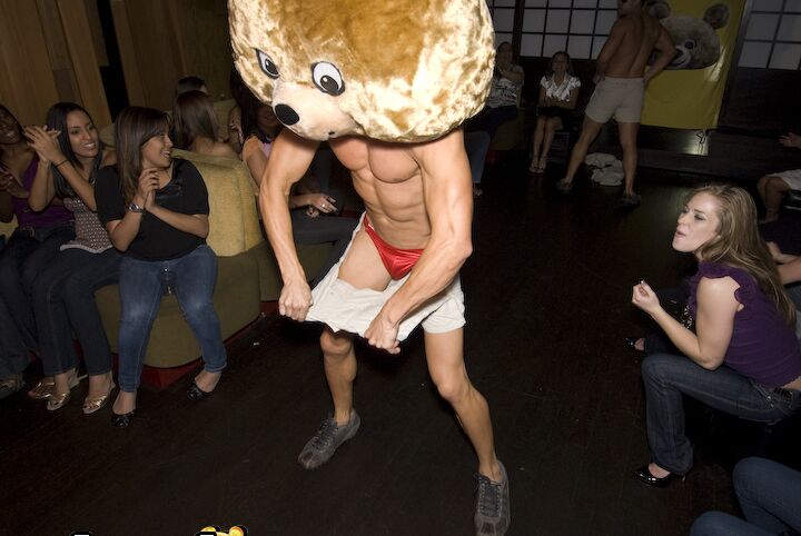 A festa 16P Coed vai à loucura com um urso dançando e garotas sexy fazendo boquetes