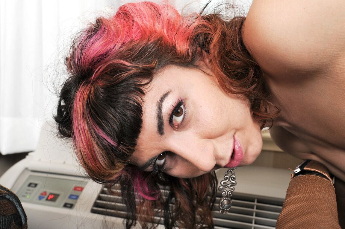 21P ATK Archives Kitty Mcmuffin