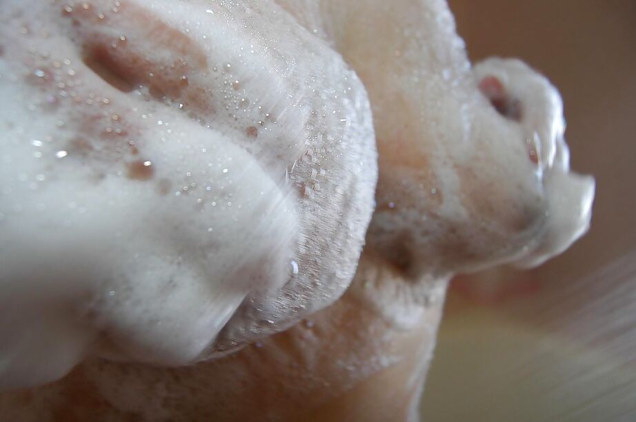 16P MILF asiática gordita con tetas caídas se ducha y se burla de su raja peluda