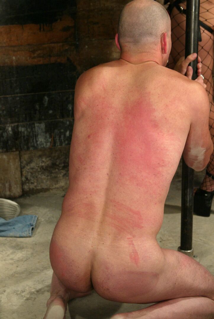 14P Men In Pain Nick Nite, Venus