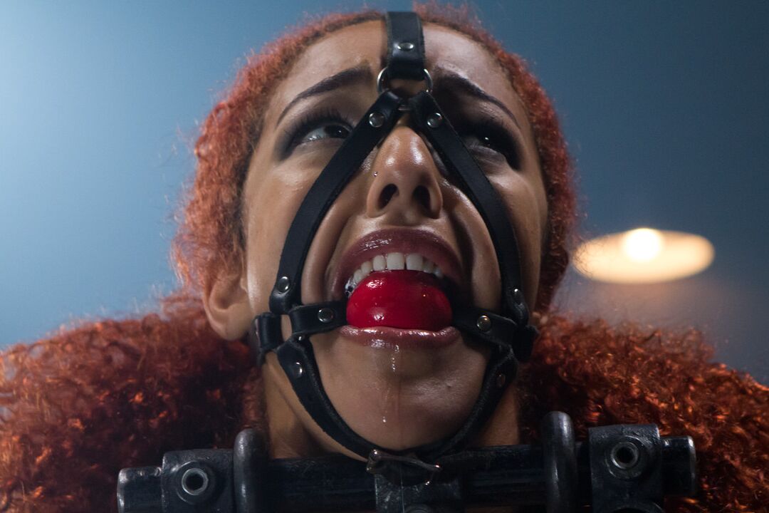 21P Device Bondage Daisy Ducati