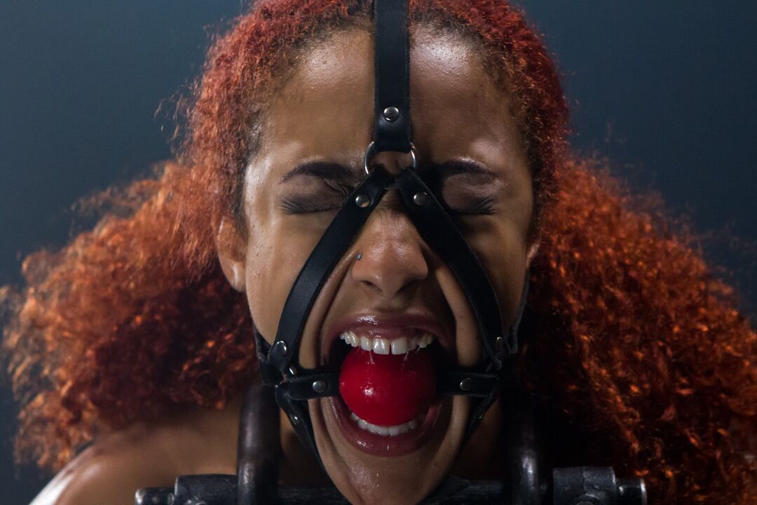 21P Device Bondage Daisy Ducati
