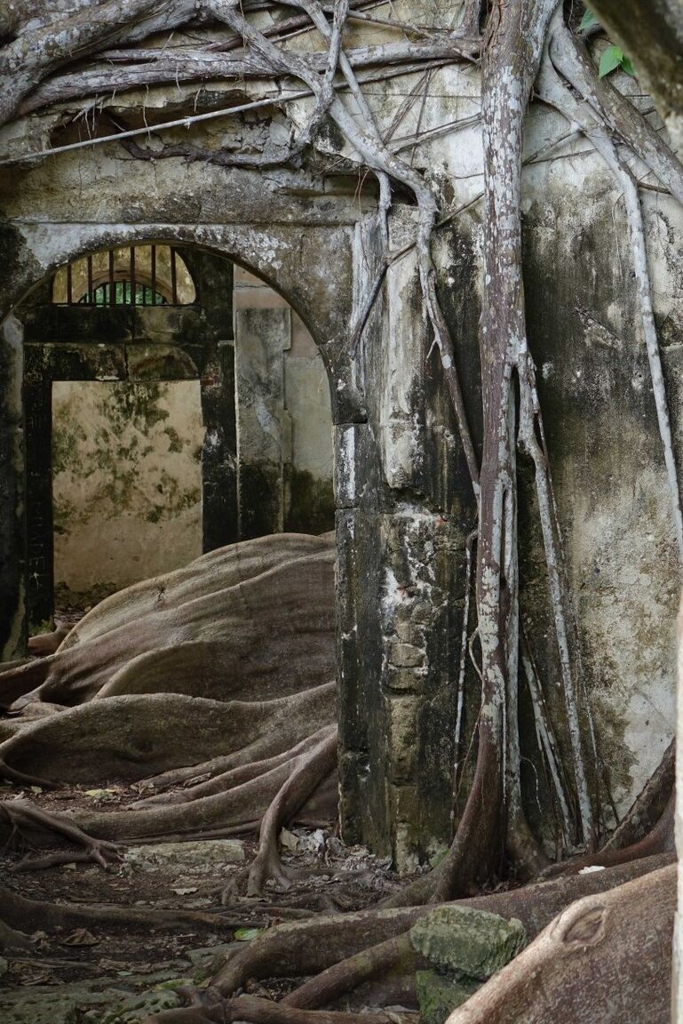 16P The sublime and slender girl walks in a former prison in Guadeloupe Its