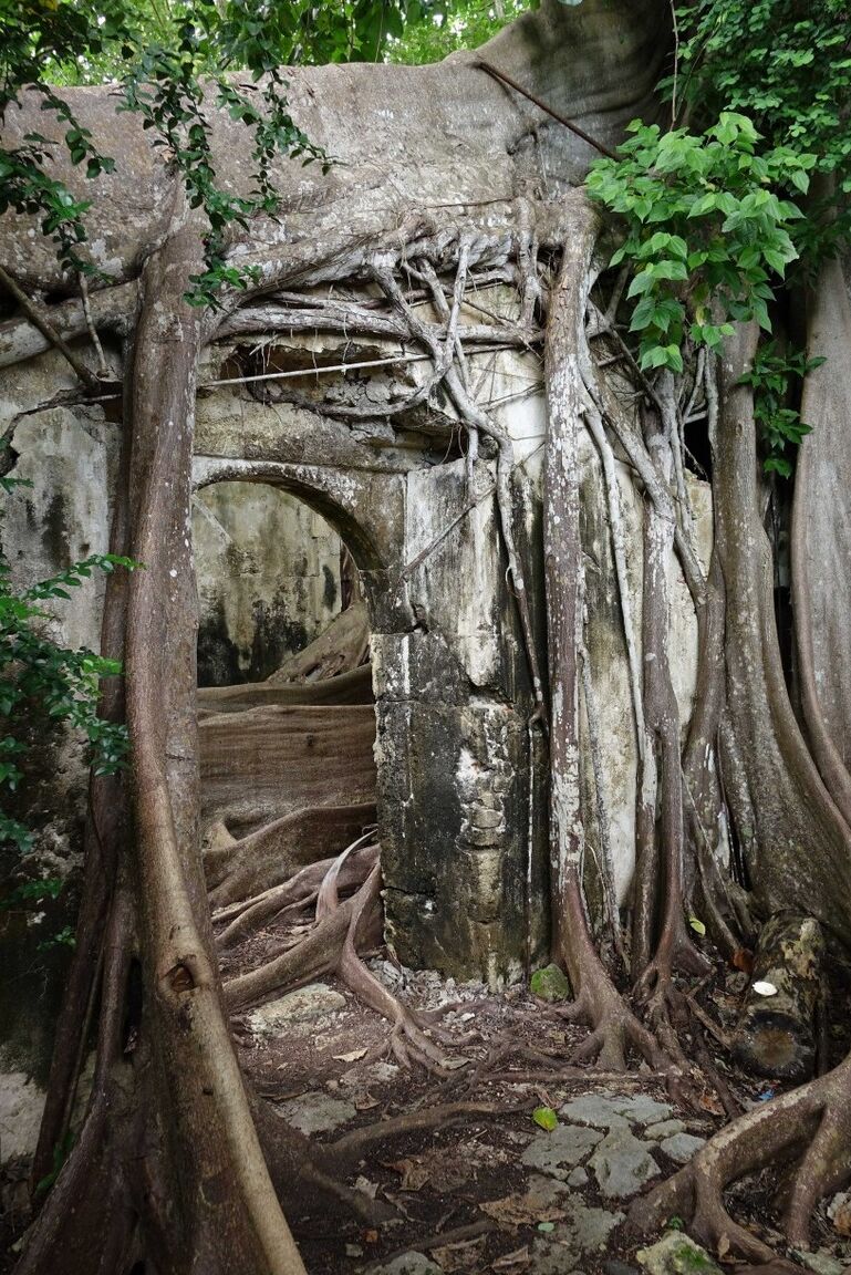 16P The sublime and slender girl walks in a former prison in Guadeloupe Its