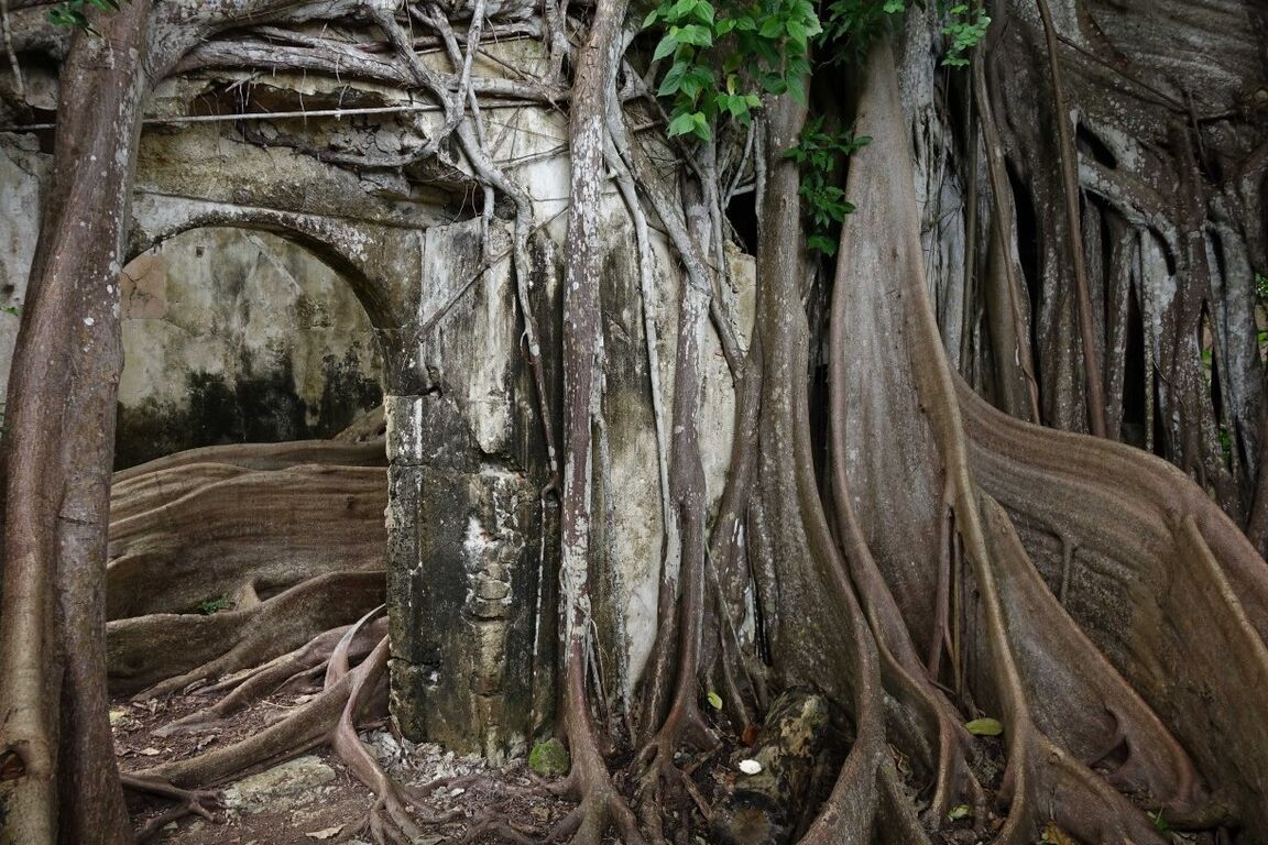 16P The sublime and slender girl walks in a former prison in Guadeloupe Its