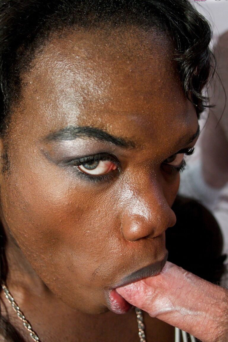 16P Negro TGirls Angeline Fontaine