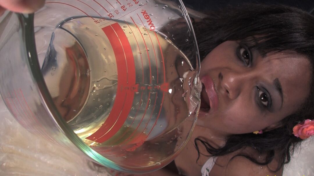 15P Piss Whore Training Barbie Kitchen Mijando Ébano